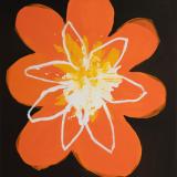 Cosmos Flower (orange) 120x100 - 2023